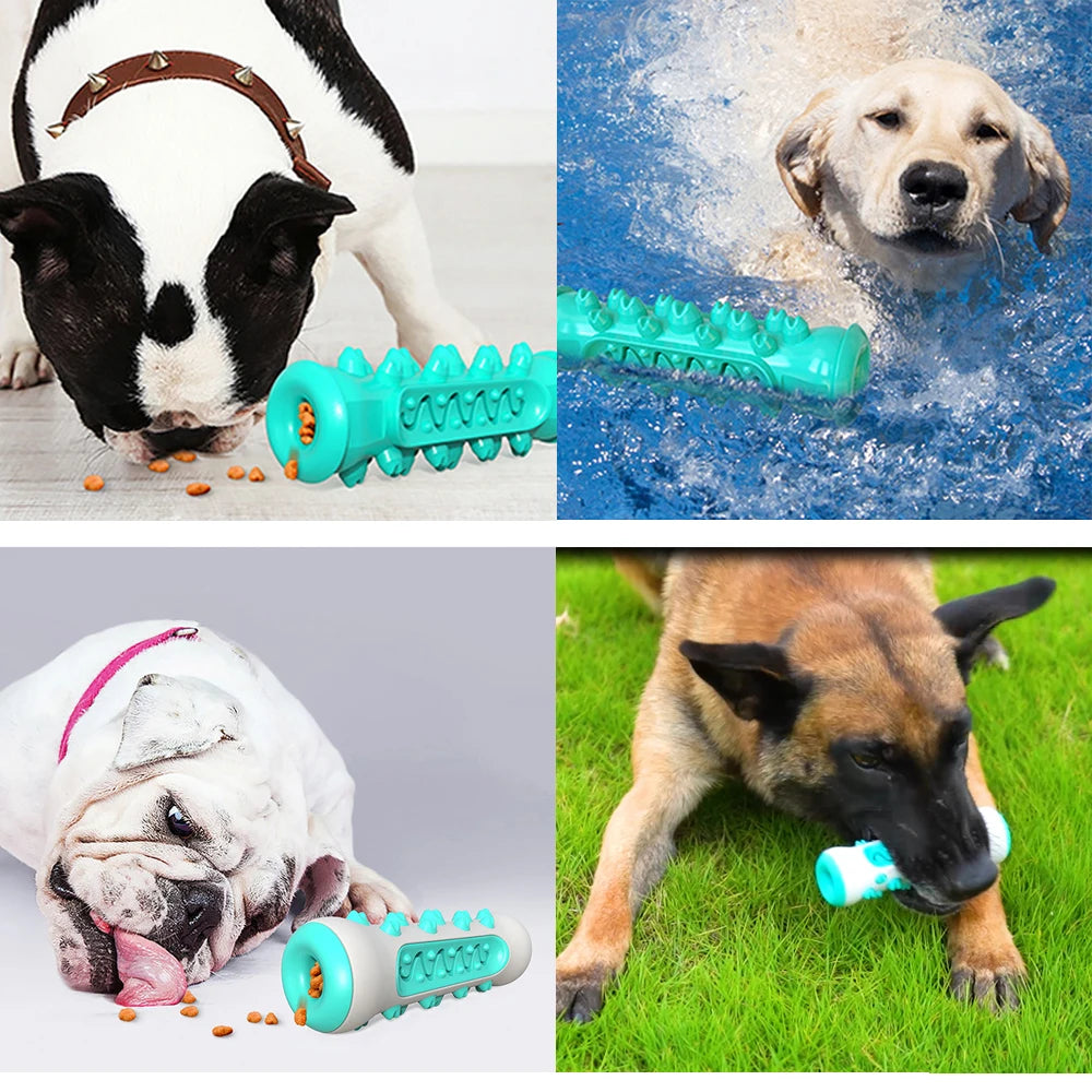 Dog Toothbrush Chew Toy – Dental Care Stick for Healthy Teeth & Fresh Breath