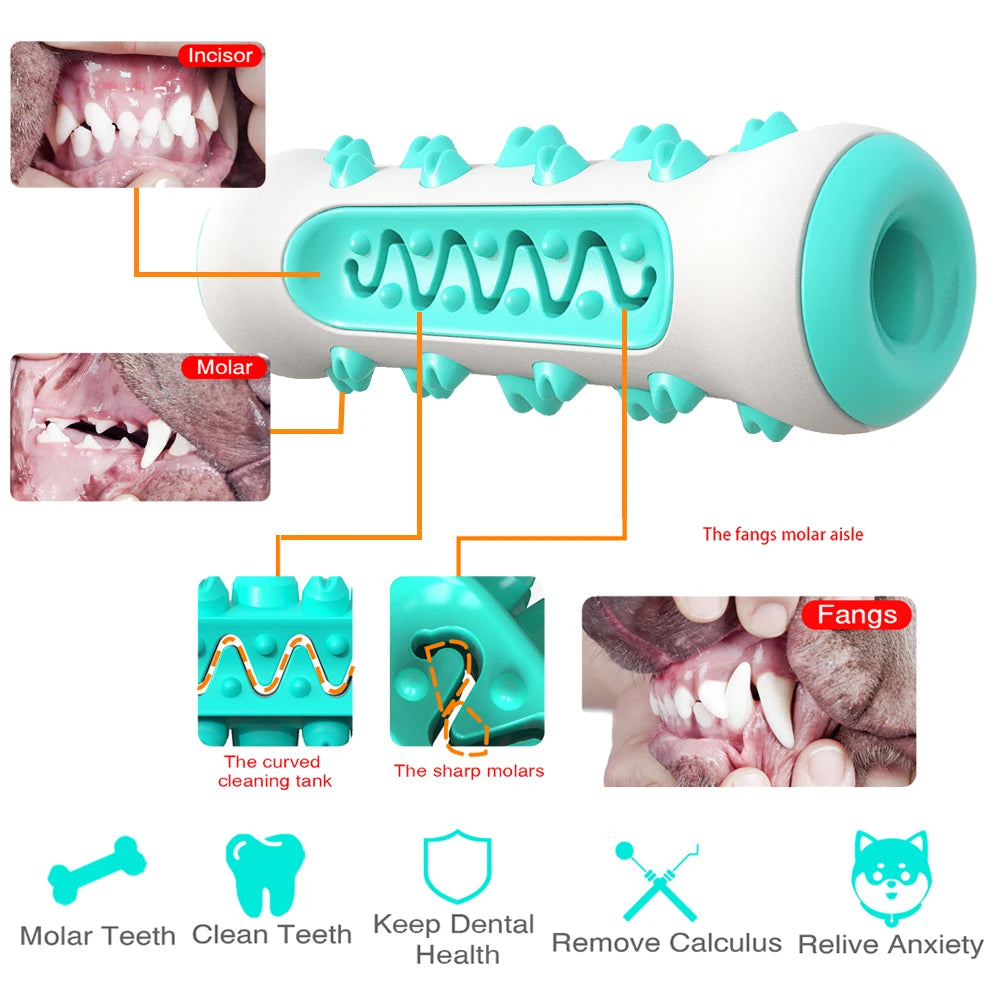Dog Toothbrush Chew Toy – Dental Care Stick for Healthy Teeth & Fresh Breath