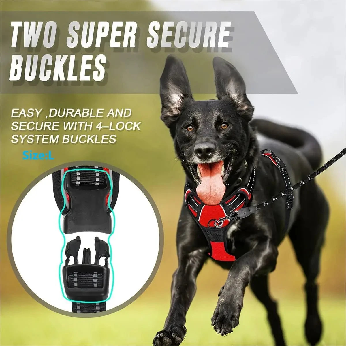 No-Pull Harness