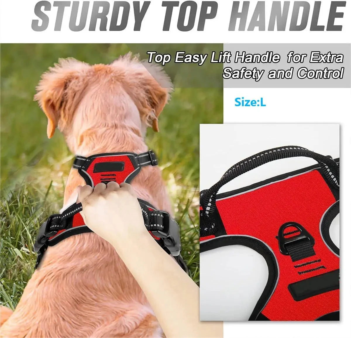 No-Pull Harness