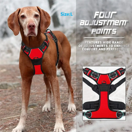 No-Pull Harness